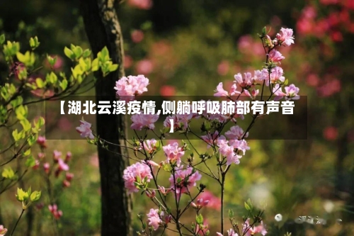 【湖北云溪疫情,侧躺呼吸肺部有声音】