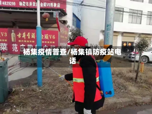 杨集疫情普查/杨集镇防疫站电话-第2张图片
