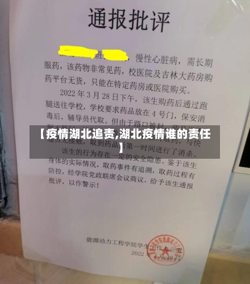【疫情湖北追责,湖北疫情谁的责任】-第3张图片