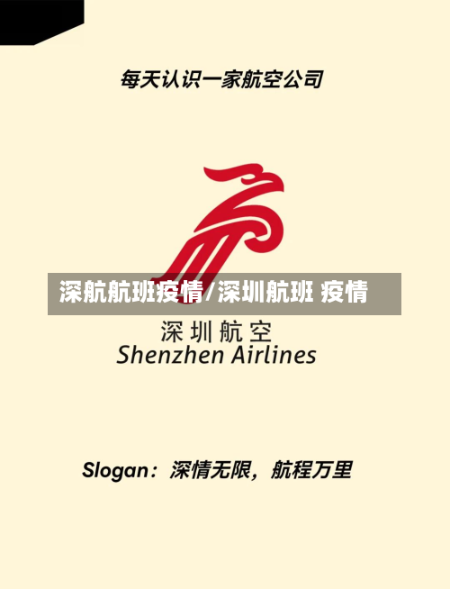 深航航班疫情/深圳航班 疫情