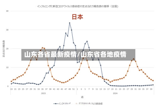 山东各省最新疫情/山东省各地疫情-第2张图片