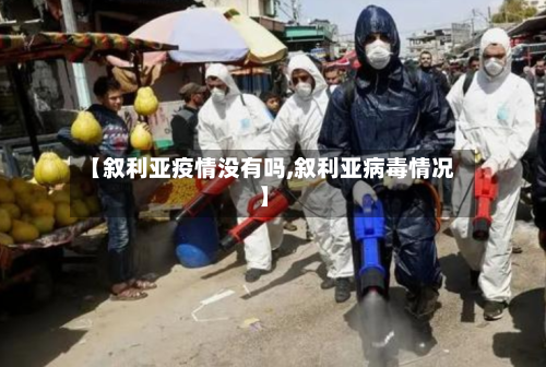 【叙利亚疫情没有吗,叙利亚病毒情况】-第2张图片