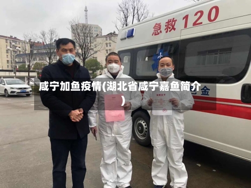 咸宁加鱼疫情(湖北省咸宁嘉鱼简介)